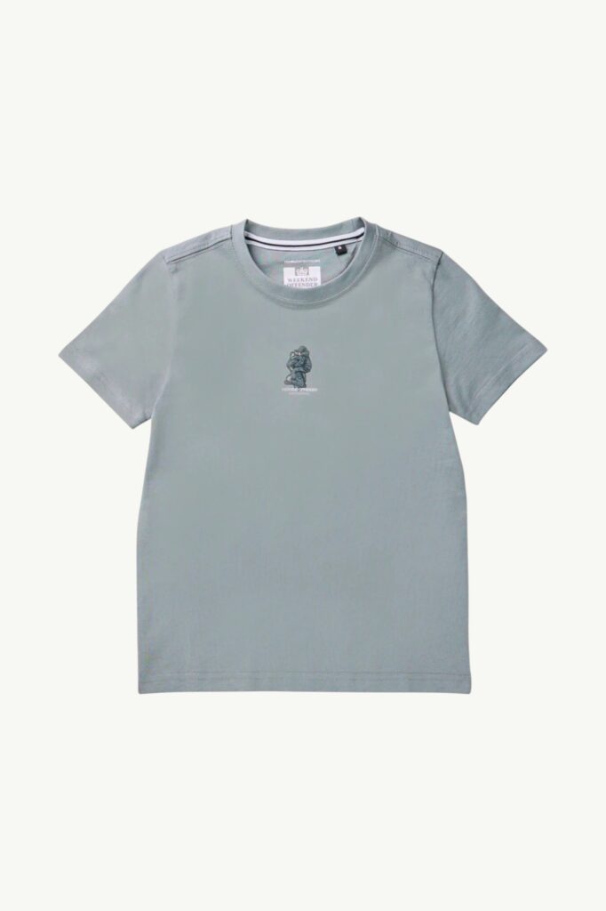 Weekend Offender Kids Reggie Graphic T-Shirt Porpoise Grey – KIDSPT3A05-PORPOIS