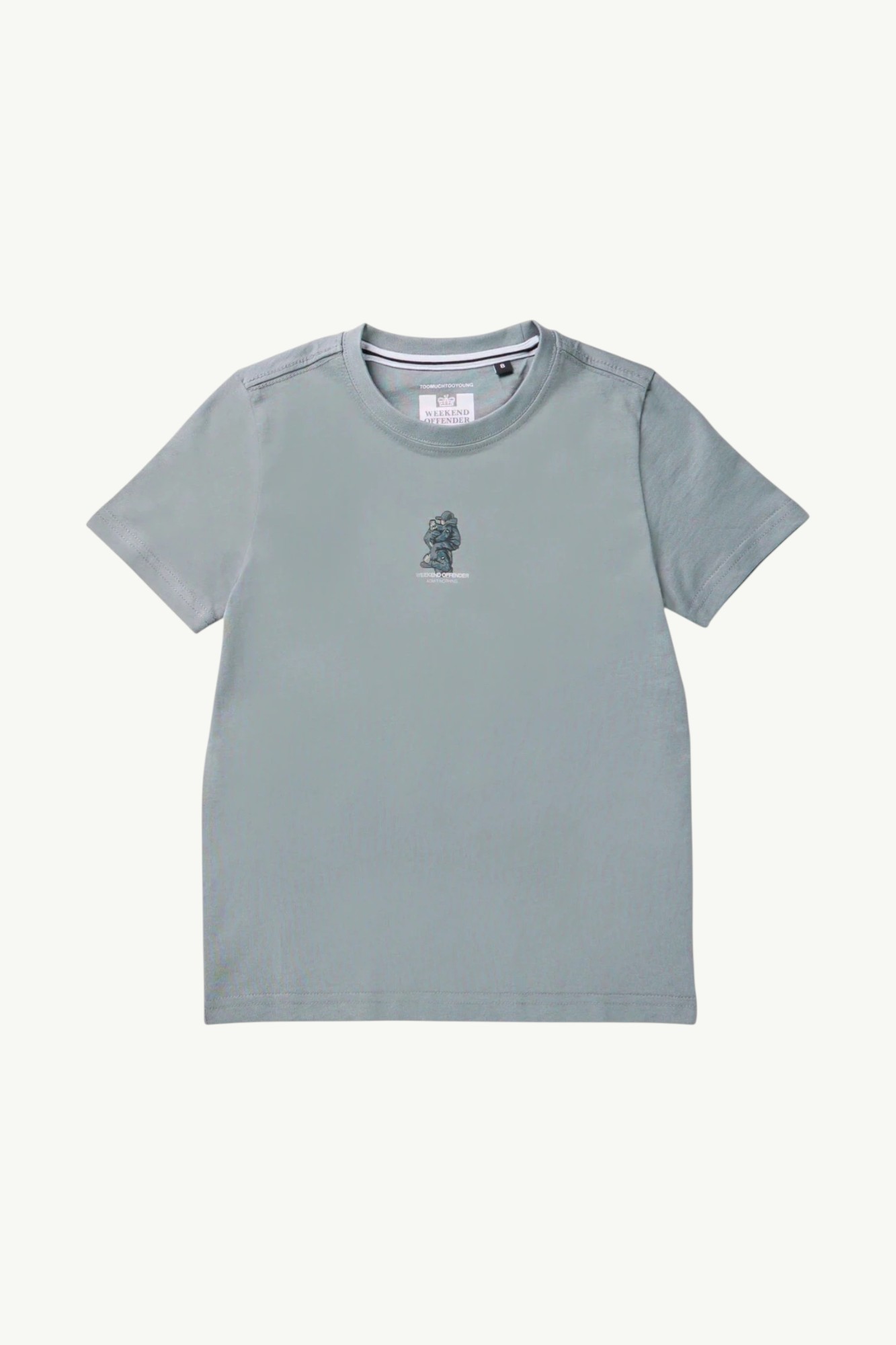 Weekend Offender Kids Reggie Graphic T-Shirt Porpoise Grey – KIDSPT3A05-PORPOIS